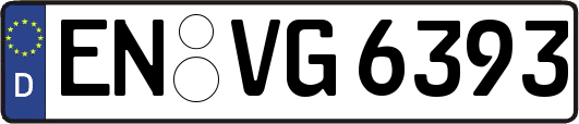 EN-VG6393