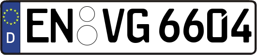 EN-VG6604