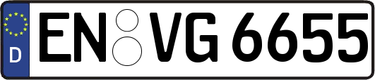 EN-VG6655
