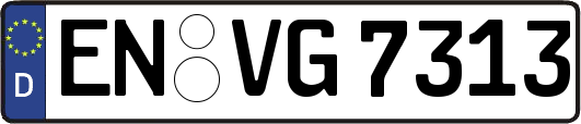 EN-VG7313