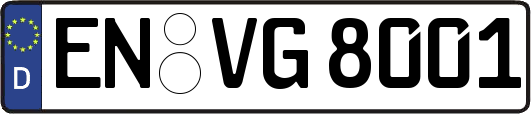 EN-VG8001
