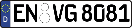 EN-VG8081