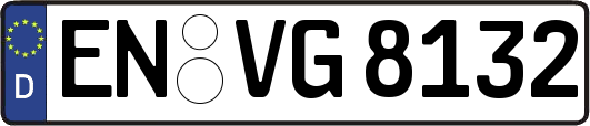 EN-VG8132