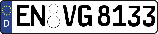 EN-VG8133