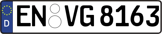 EN-VG8163
