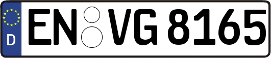 EN-VG8165