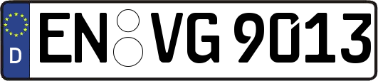 EN-VG9013