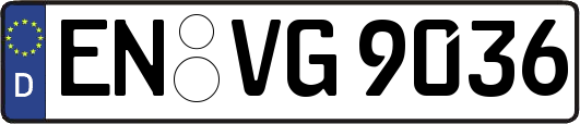EN-VG9036