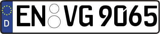 EN-VG9065