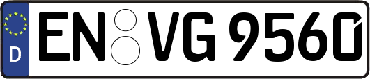 EN-VG9560