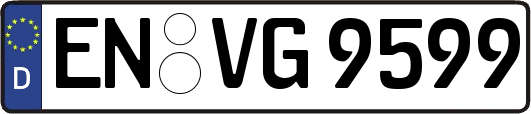 EN-VG9599