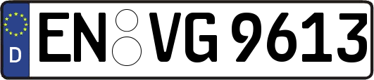 EN-VG9613