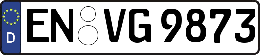 EN-VG9873