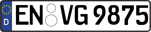 EN-VG9875