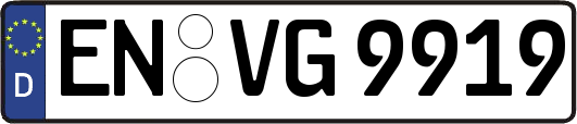 EN-VG9919