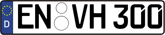 EN-VH300