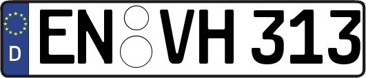 EN-VH313