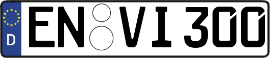 EN-VI300