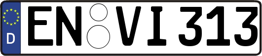EN-VI313