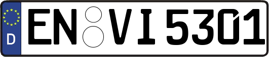 EN-VI5301