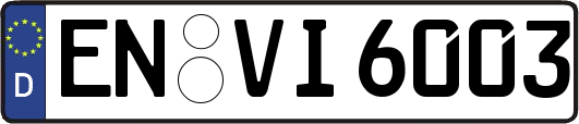 EN-VI6003