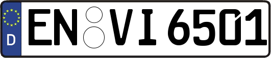 EN-VI6501