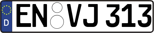 EN-VJ313