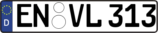 EN-VL313