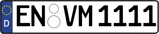 EN-VM1111