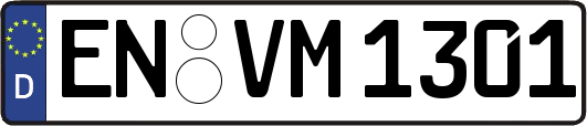 EN-VM1301