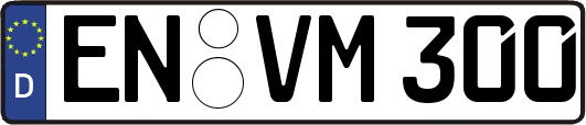 EN-VM300