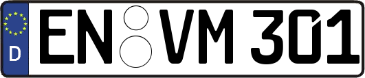EN-VM301