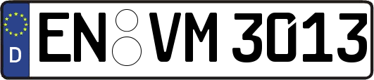 EN-VM3013