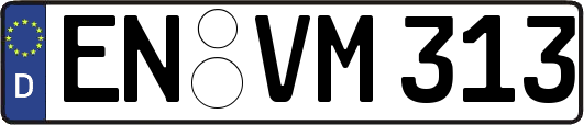 EN-VM313