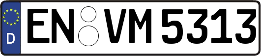 EN-VM5313