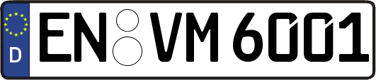 EN-VM6001