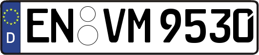 EN-VM9530
