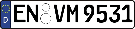 EN-VM9531