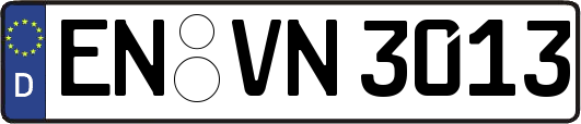 EN-VN3013