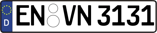 EN-VN3131