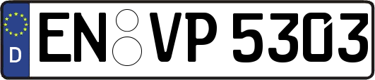 EN-VP5303