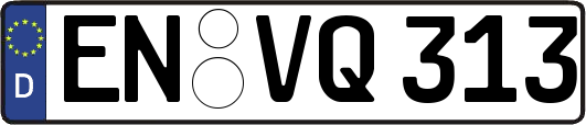 EN-VQ313