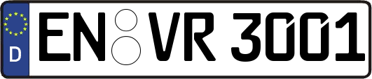 EN-VR3001