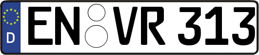 EN-VR313