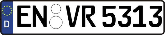 EN-VR5313