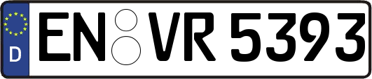 EN-VR5393