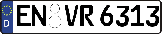EN-VR6313
