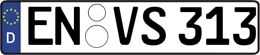 EN-VS313