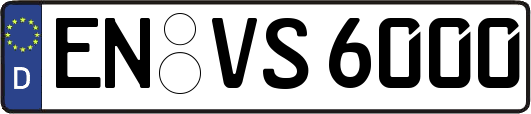 EN-VS6000