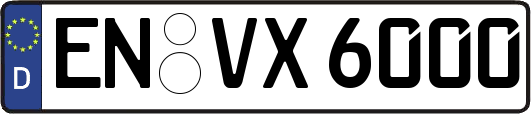 EN-VX6000